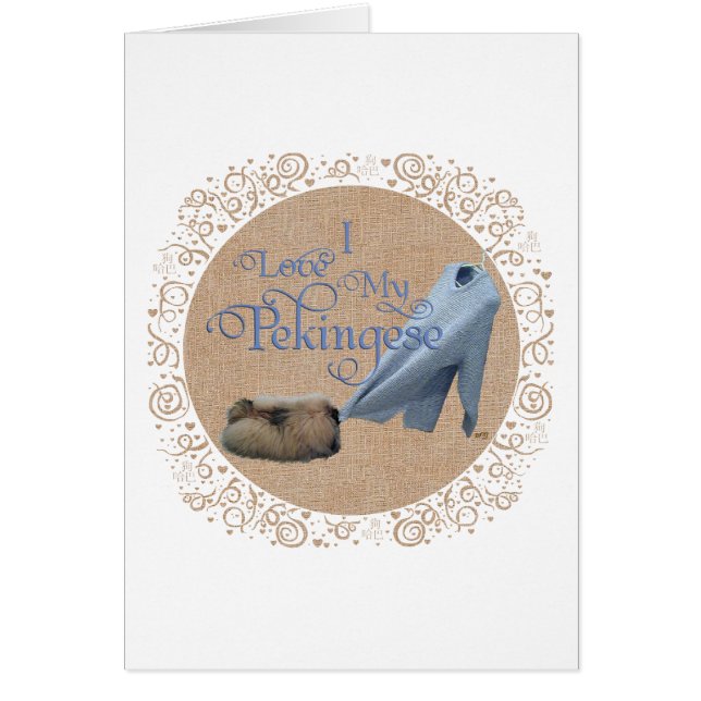 Pekingese Tug-O-War (Devant)