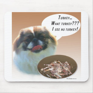 Pekingese Turkije Muismat