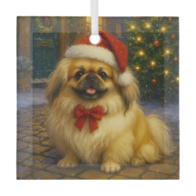 Pekingese Vakantie
