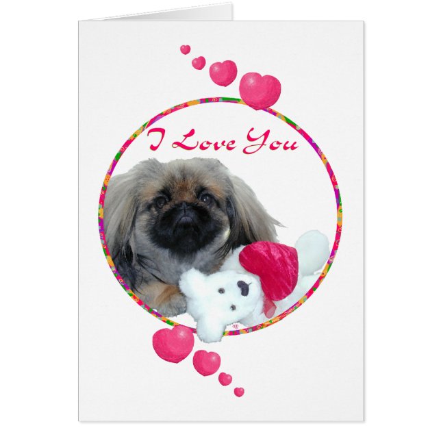 Pekingese Valentijn (Voorkant)