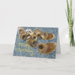 Pekingese verjaardagskaart kaart
