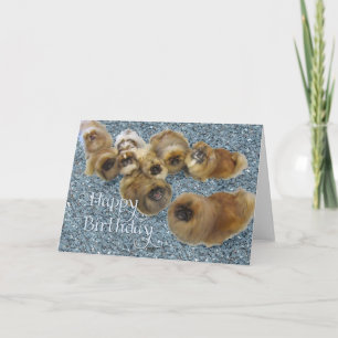 Pekingese verjaardagskaart kaart