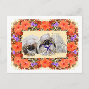 Pekingese Zeelieden Briefkaart