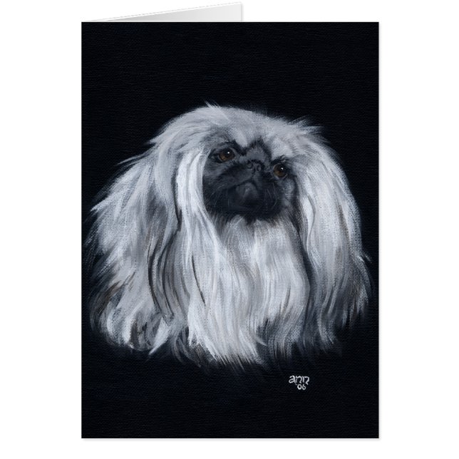 Pekingese zwart-wit (Voorkant)