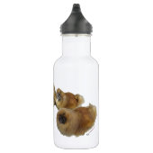 Pekingezen Groep Waterfles (Rechts)
