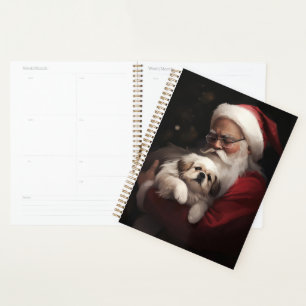 Pékinois avec le Père Noël Noël Festive