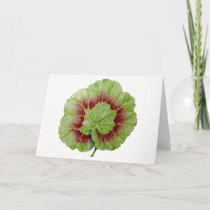 Pelargonium "Geranium Leaf"-Wenskaart Kaart