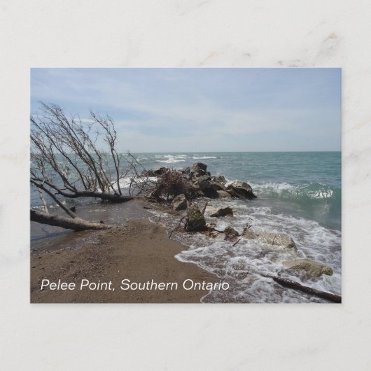Pelee Point, Southern Ontario Briefkaart (Voorkant)