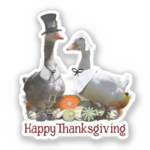 Pelgrim Gans Eend Thanksgiving Sticker