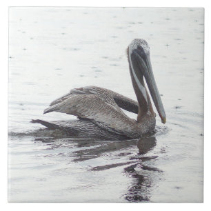 Pelicaans vogelwater keramische tegel tegeltje