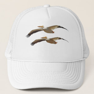 Pélican 3 Casquette