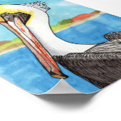 Pelican 5x7 poster (Hoek)