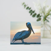 Pelican Alone/Post Card Briefkaart (Staand voorkant)