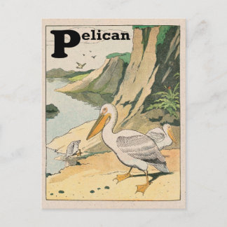 Pelican Alphabet Briefkaart