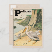 Pelican Alphabet Briefkaart (Voorkant / Achterkant)