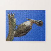Pélican au puzzle (Horizontal)