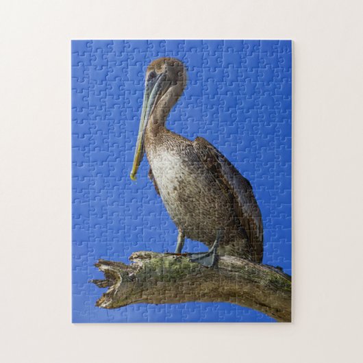 Pélican au puzzle (Vertical)