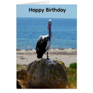 Pélican Avec Le Regard, Carte D'anniversaire