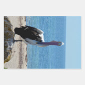 Pélican Avec "Look", Feuilles Cadeaux (Devant 3)