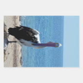 Pélican Avec "Look", Feuilles Cadeaux (Devant 2)