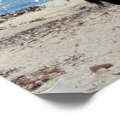 Pélican Avec "Look", Poster (Coin)