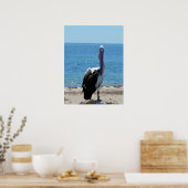 Pélican Avec "Look", Poster (Cuisine)