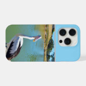 Pelican Back Chat, (Verso Horizontal)