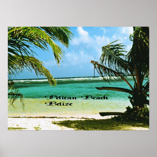 Pelican Beach Belize Poster (Voorkant)