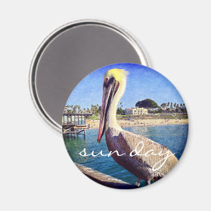 Pelican bird strand pier foto sun day quote magnet magneet