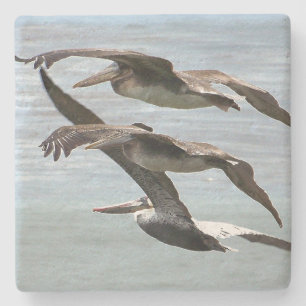 Pelican Bird Wildlife Beach Animal Stone Onderzett Stenen Onderzetter
