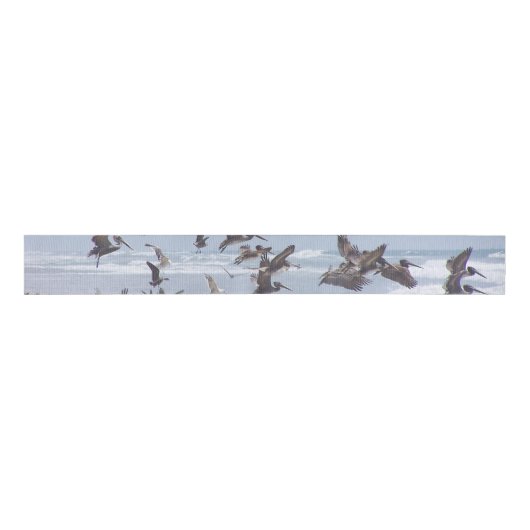 Pelican Birds Beach Wildlife Grosgrain Ribbon Lint (Voorkant)