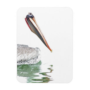 Pelican Birds Wilde Dieren Bloem Magneet