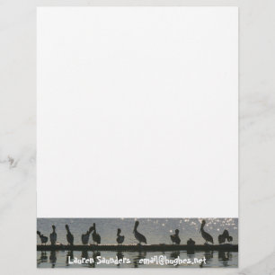 Pelican Birds Wilde Levensdieren Persoonlijk Briefhoofd