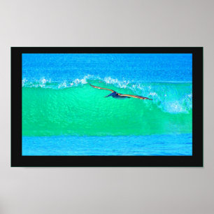 Pelican Birds Wilde Levensdieren Poster