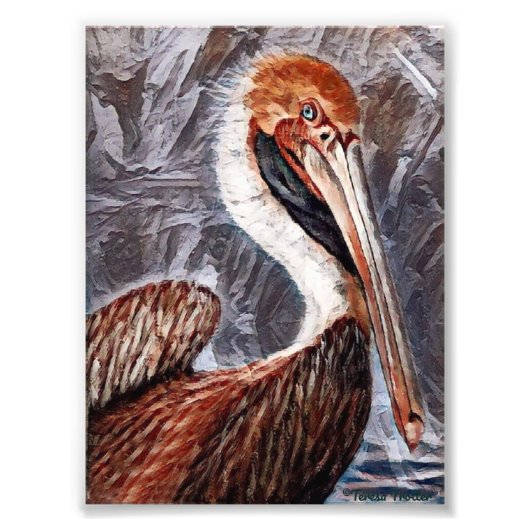 Pelican Brief Foto Afdruk (Voorkant)