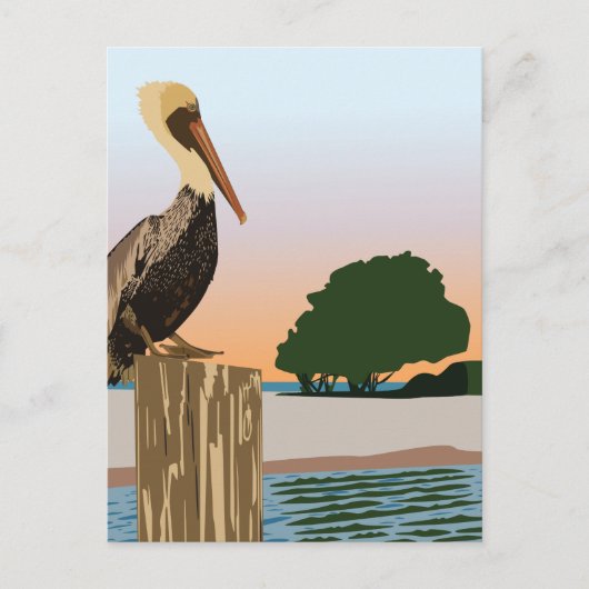 Pelican Briefkaart (Voorkant)