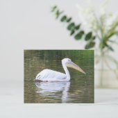 Pelican Briefkaart (Staand voorkant)