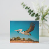 Pelican Briefkaart (Staand voorkant)