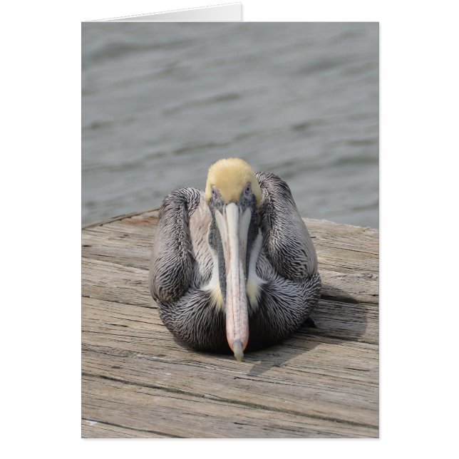 Pelican Card (Voorkant)