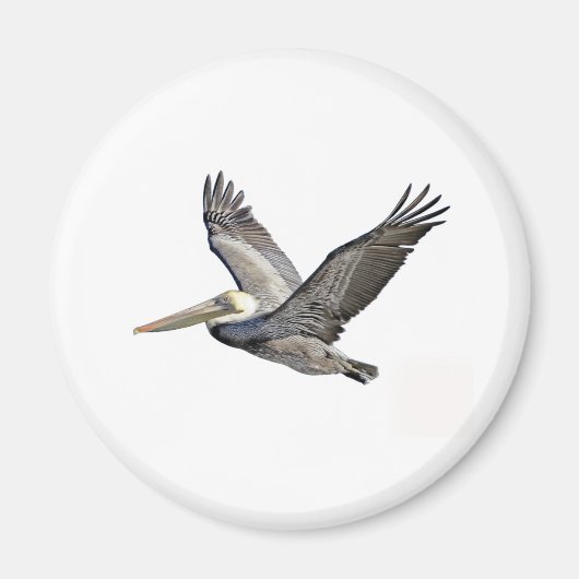 Pelican Clear Magneet (Voorkant)