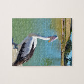 Pélican Conversation arrière, Jigsaw Puzzle (Horizontal)