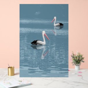 Pélican Couple pagayage sur Eau Bleue Calme