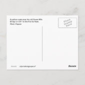 Pélican dans les Florida Keys carte postale (Dos)