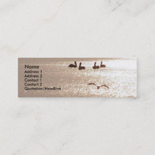 Pelican Dawn Profile Card Mini Visitekaartje