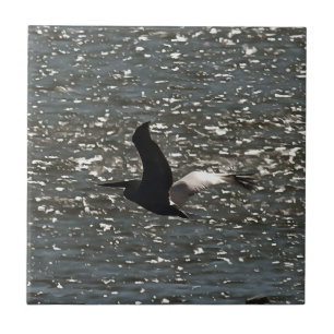 Pelican die over het Shimmering Lake Bafa vliegt Tegeltje