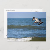 Pelican Diving Briefkaart (Voorkant / Achterkant)