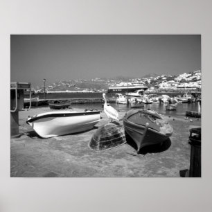 Pelican en Boats (zwart en wit) Poster