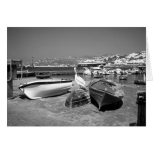 Pélican et bateaux (BandW)