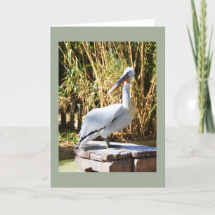 Pelican Feestdagen Kaart