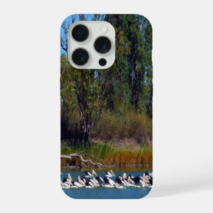 Pelican Fishing Frenzy, River Murray,